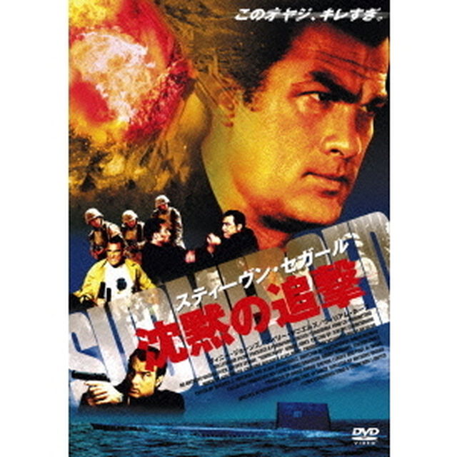 スティーヴン・セガール 沈黙の追撃 特別版（ＤＶＤ）