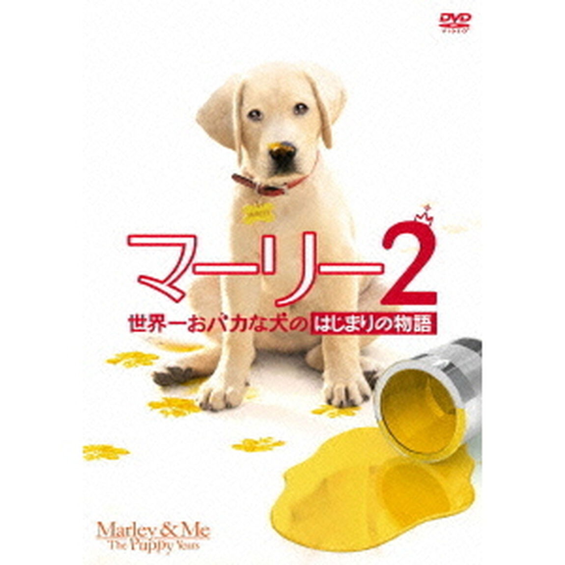 マーリー2　世界一おバカな犬のはじまりの物語（ＤＶＤ）