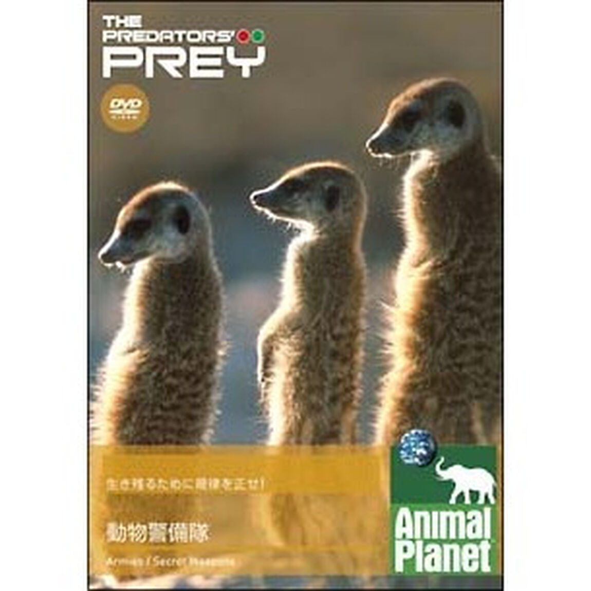 アニマルプラネット 餌食になるまえに 動物警備隊（ＤＶＤ）