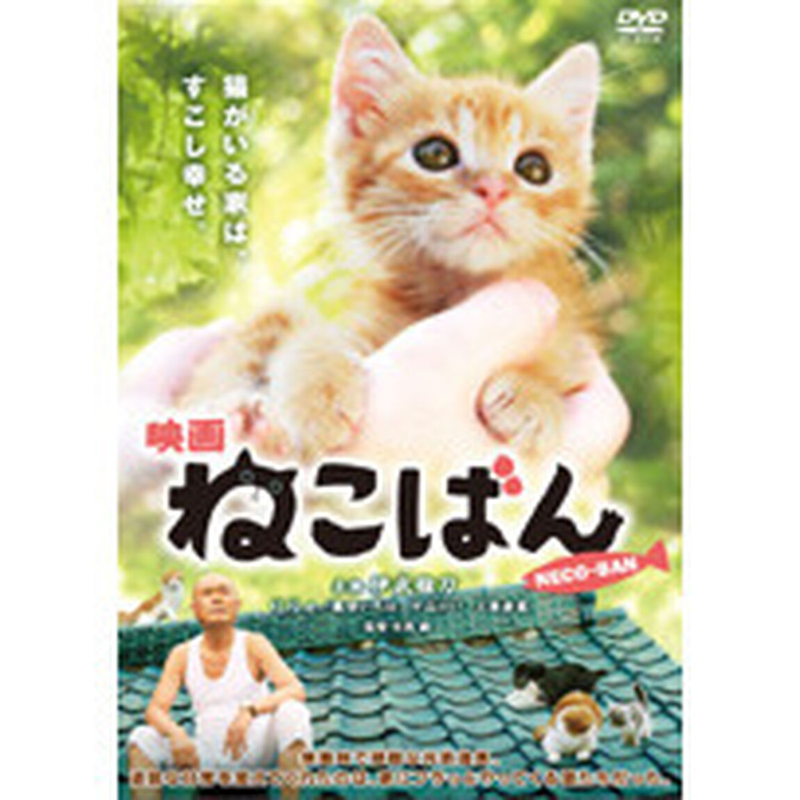 映画　ねこばん（ＤＶＤ）