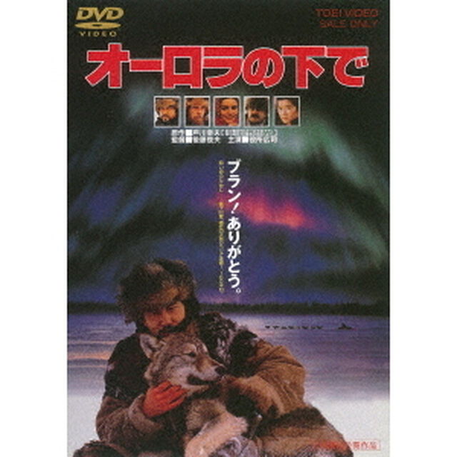 オーロラの下で（ＤＶＤ）