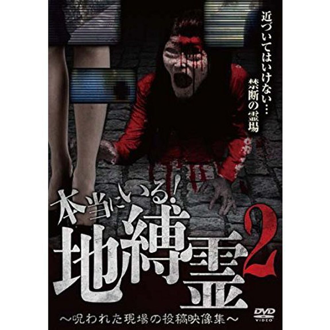 本当にいる！地縛霊2　〜呪われた投稿映像集〜（ＤＶＤ）