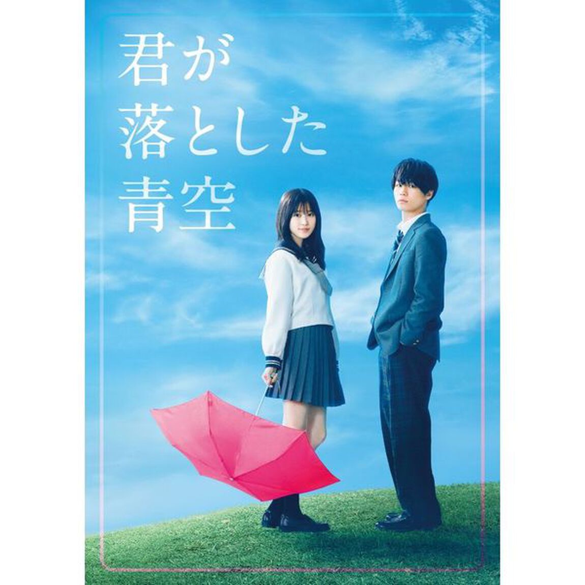 君が落とした青空　豪華版（ＤＶＤ）
