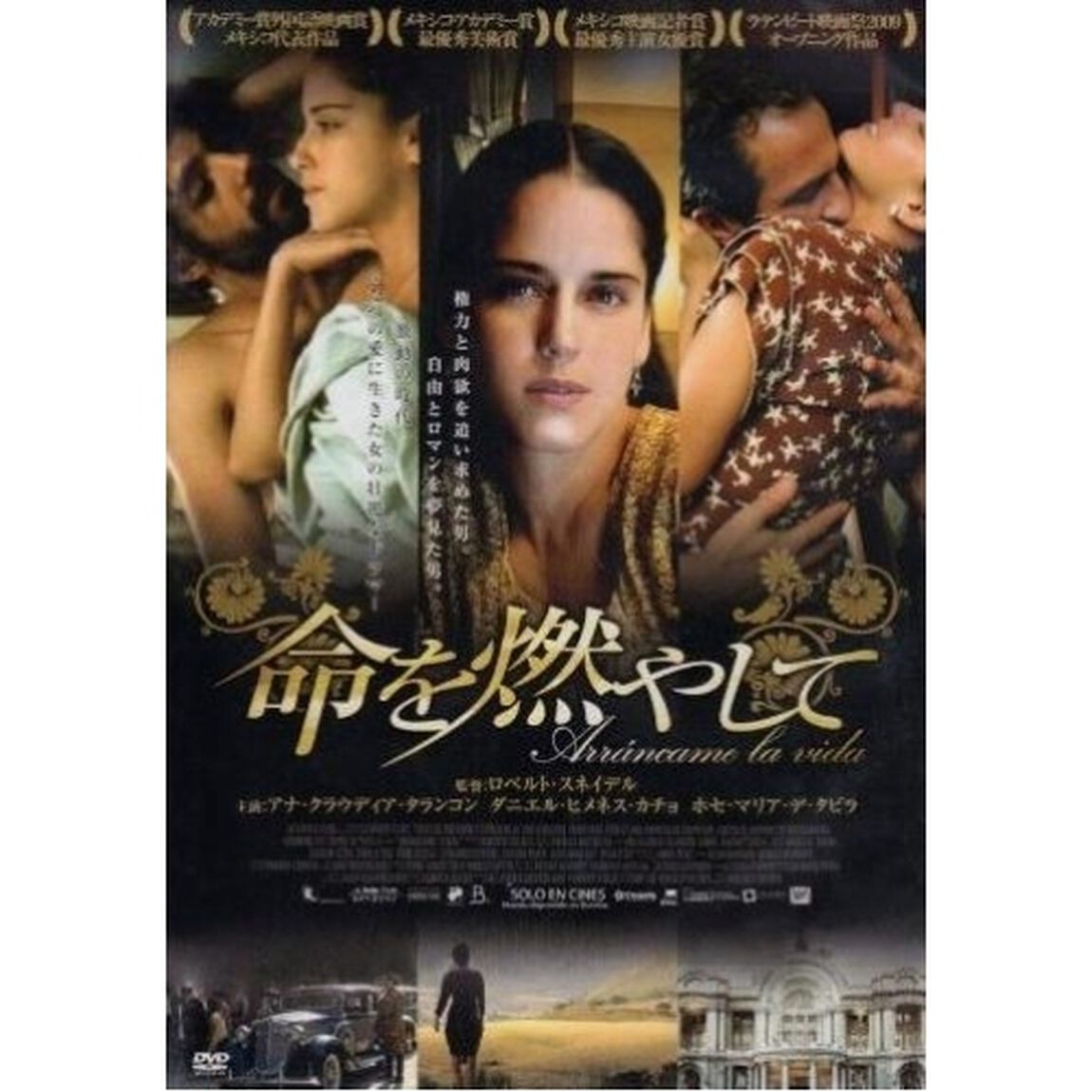 命を燃やして（ＤＶＤ）