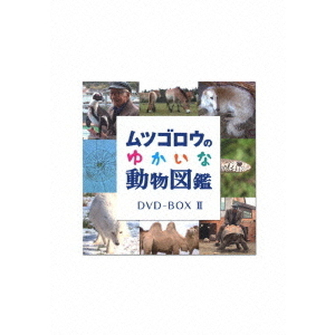 「ムツゴロウのゆかいな動物図鑑」 コンプリートBOX II（ＤＶＤ）