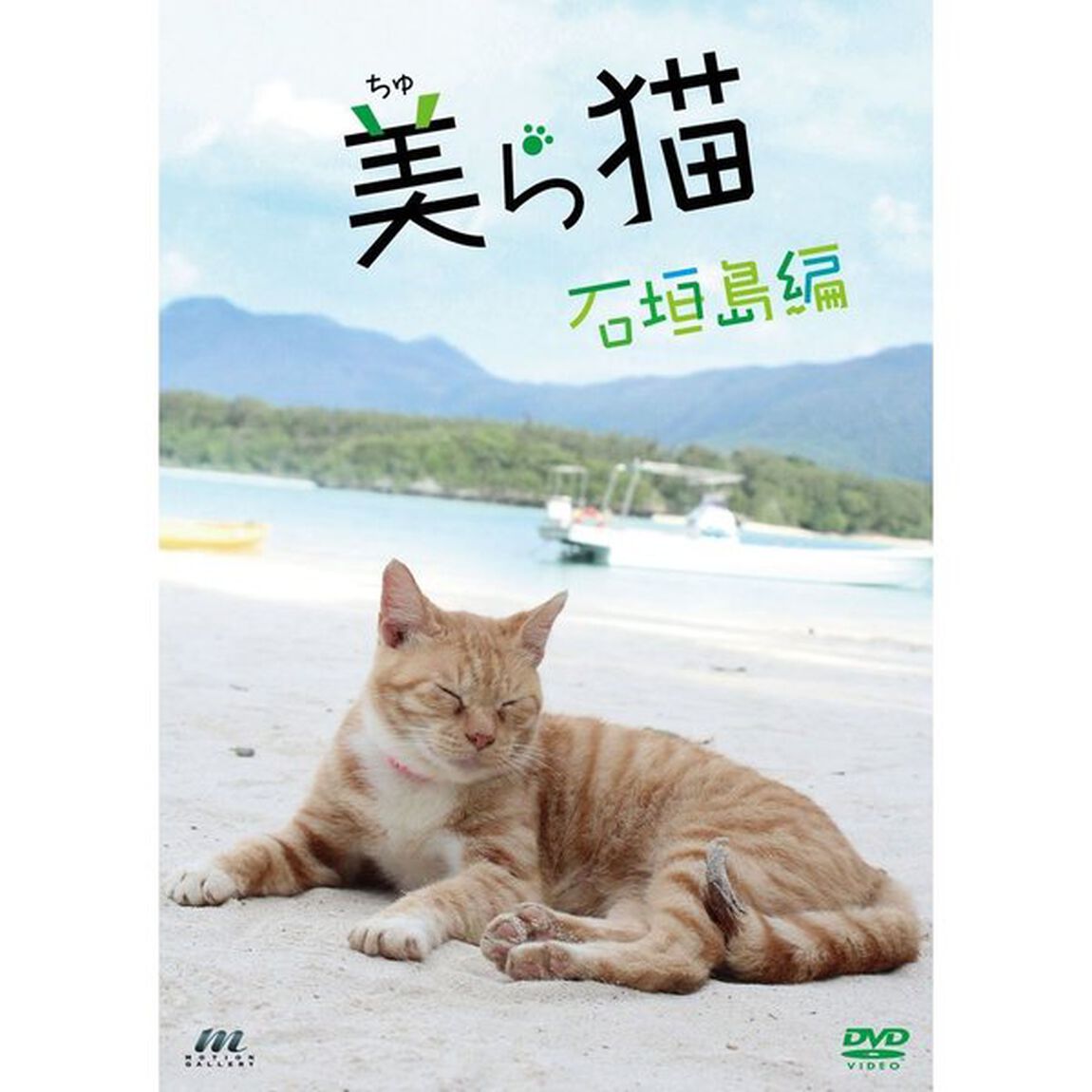 美ら猫　石垣島編（ＤＶＤ）