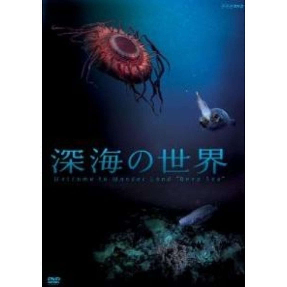 深海の世界（ＤＶＤ）