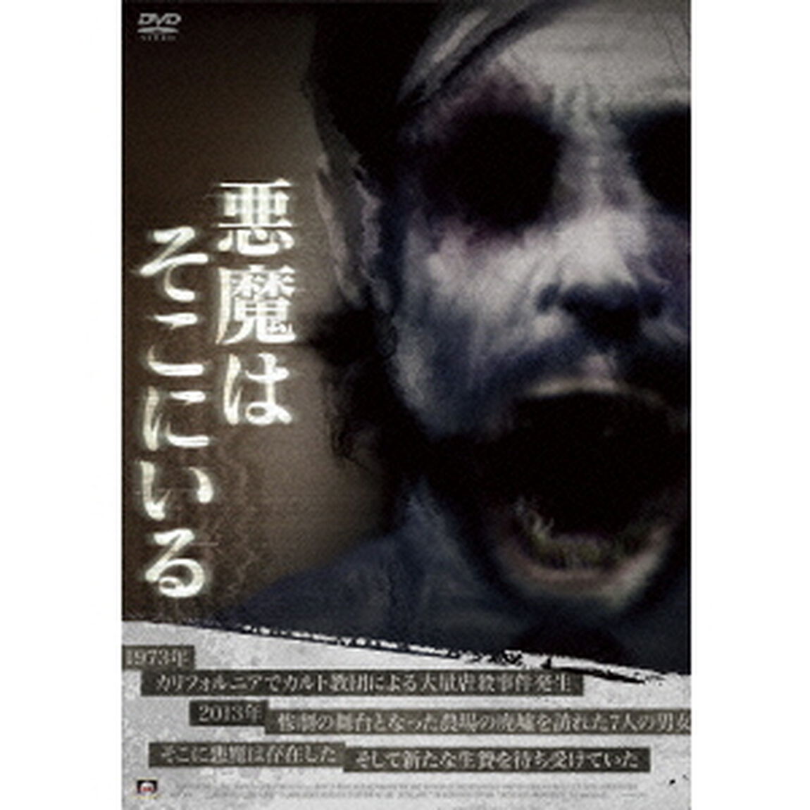 悪魔はそこにいる（ＤＶＤ）