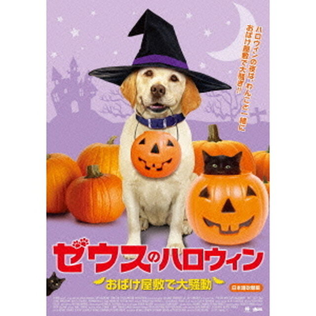 ゼウスのハロウィン　おばけ屋敷で大騒動（ＤＶＤ）