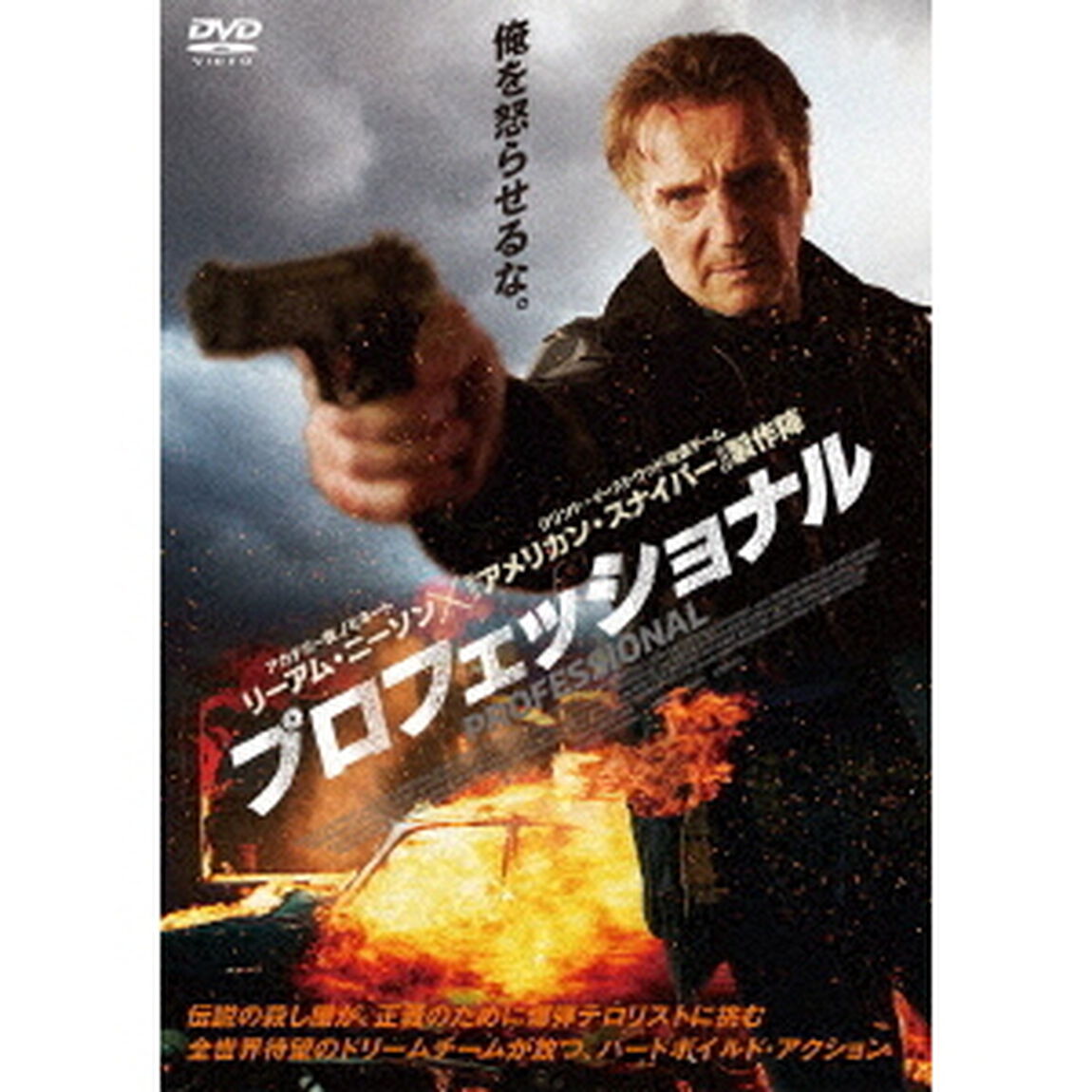 プロフェッショナル（ＤＶＤ）