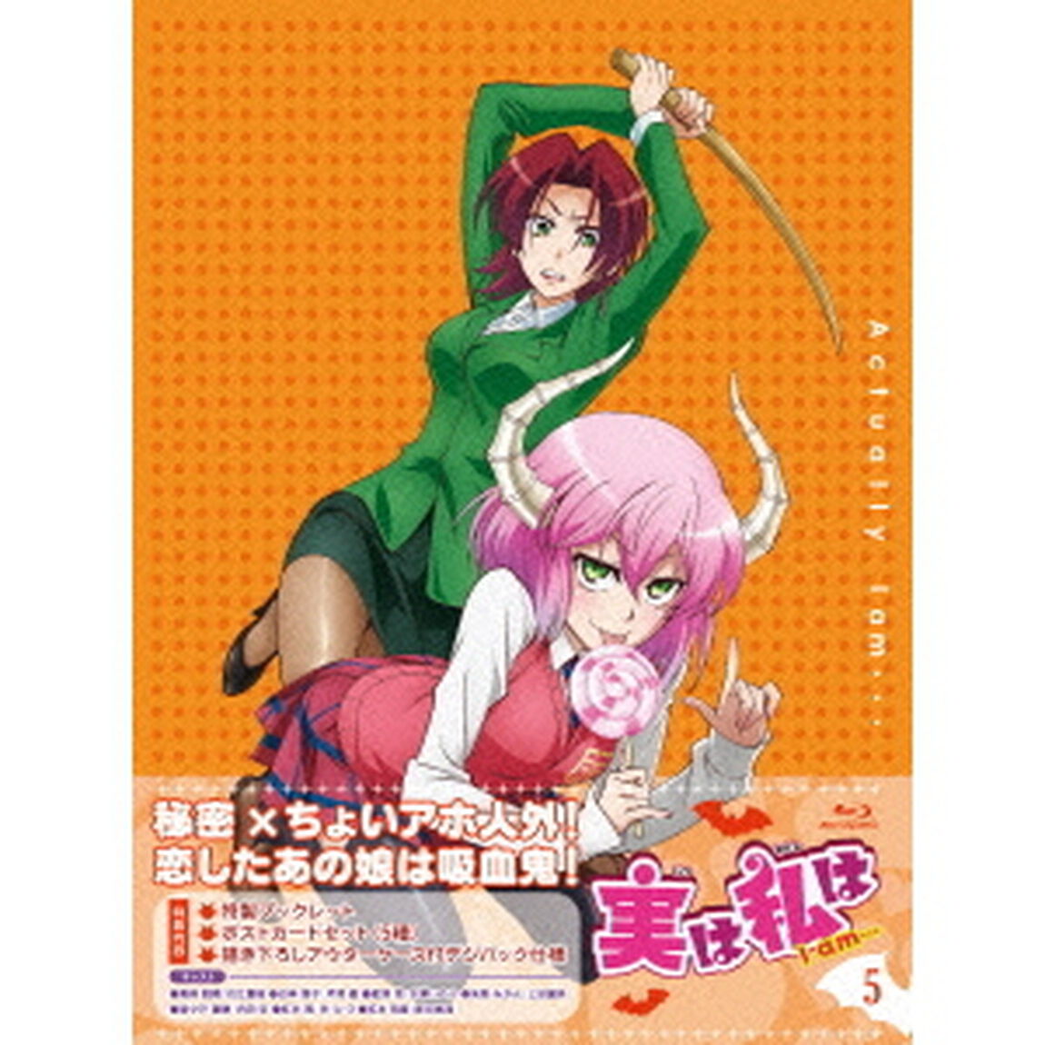 実は私は 5（Ｂｌｕ－ｒａｙ　Ｄｉｓｃ）