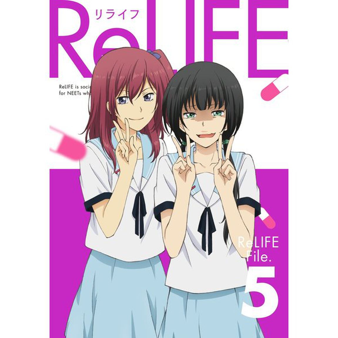 ReLIFE　File．5（ＤＶＤ）