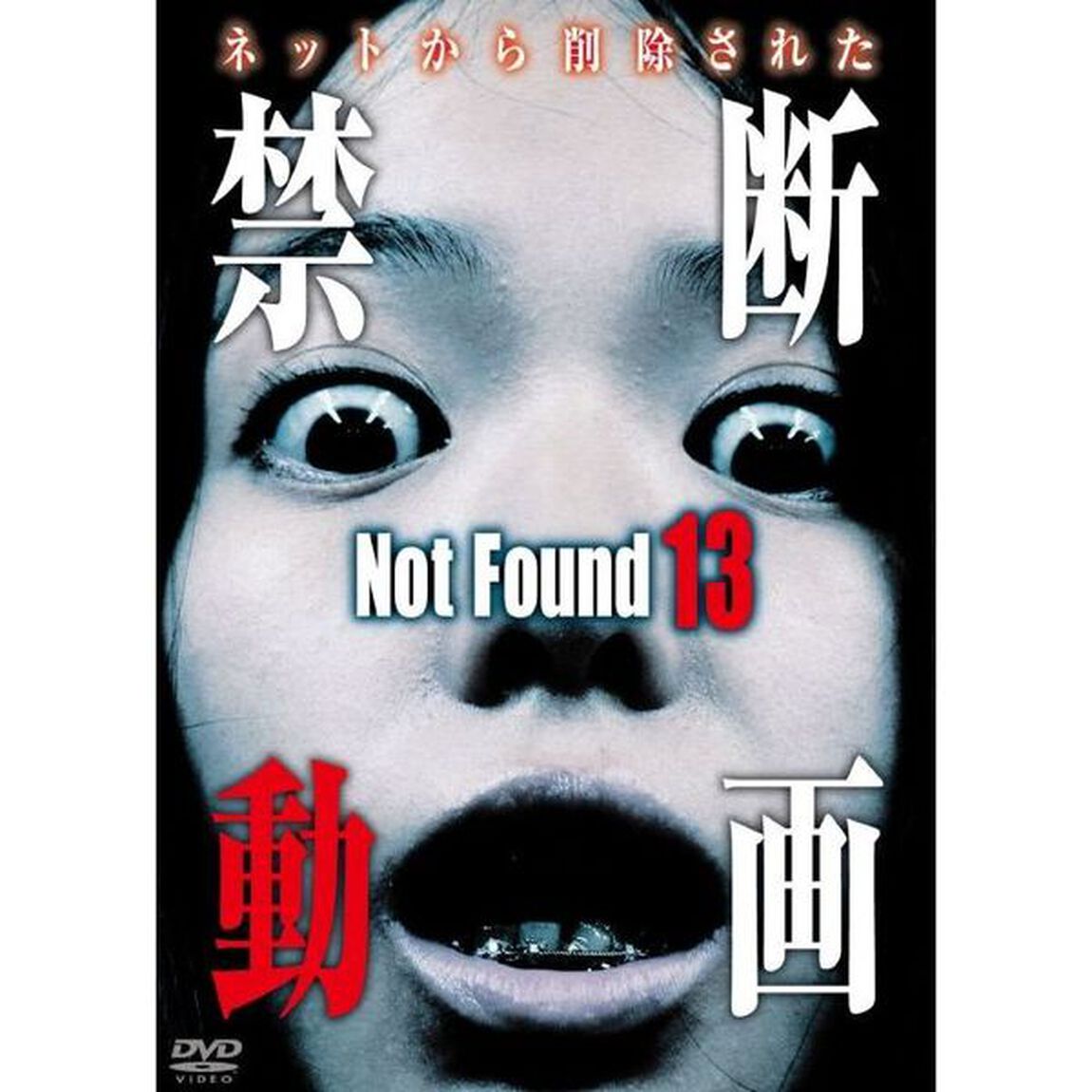 Not Found 13 －ネットから削除された禁断動画－（ＤＶＤ）