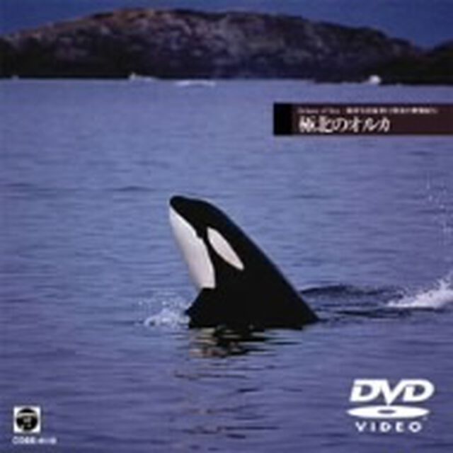 海洋写真家　水口博也の映像紀行　極北のオルカ（ＤＶＤ）