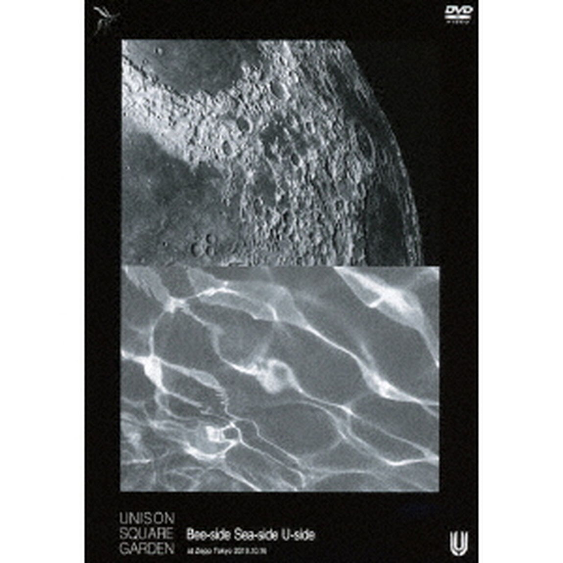 UNISON　SQUARE　GARDEN　Bee－side　Sea－side　U－side　at　Zepp　Tokyo　2019．10．16（ＤＶＤ）