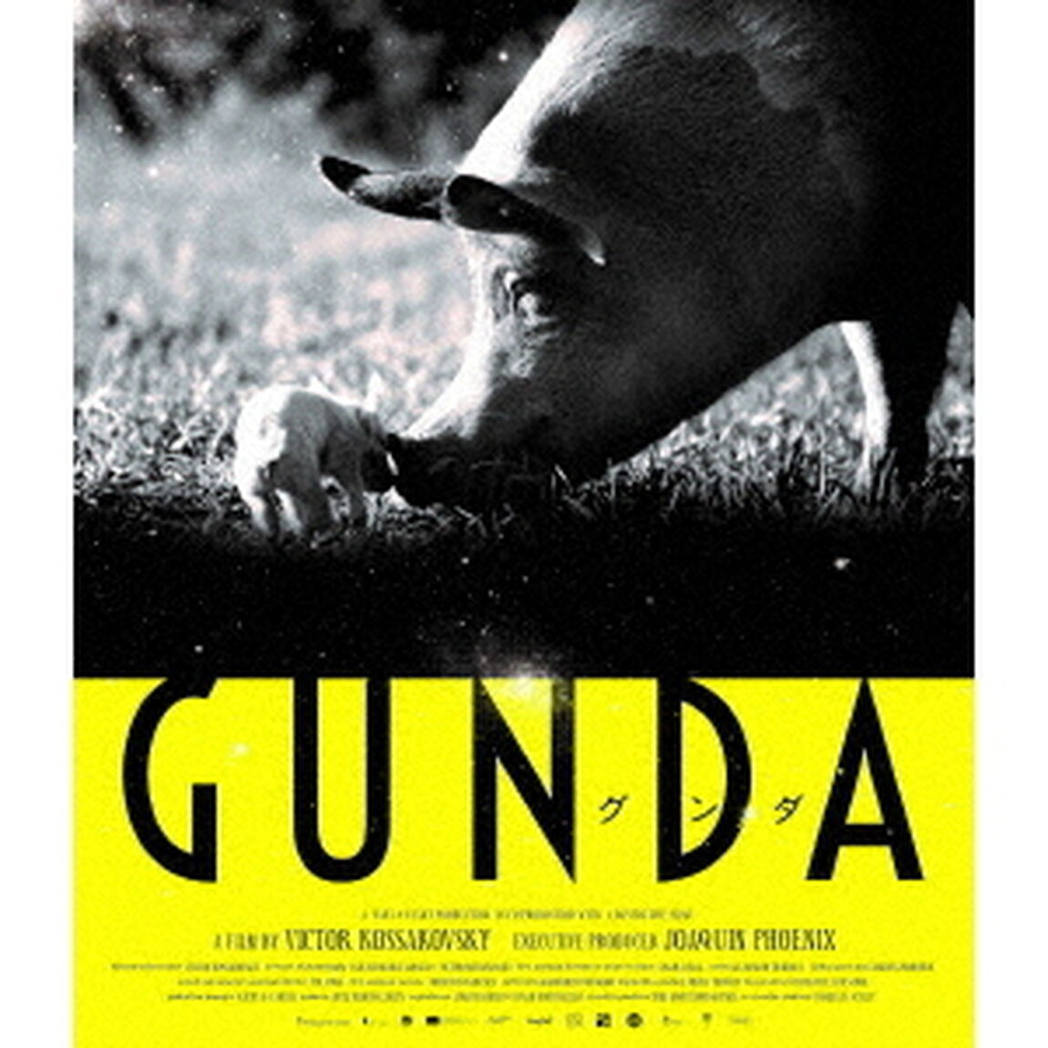 GUNDA／グンダ（Ｂｌｕ－ｒａｙ　Ｄｉｓｃ）
