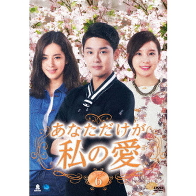 あなただけが私の愛　DVD－BOX6（ＤＶＤ）