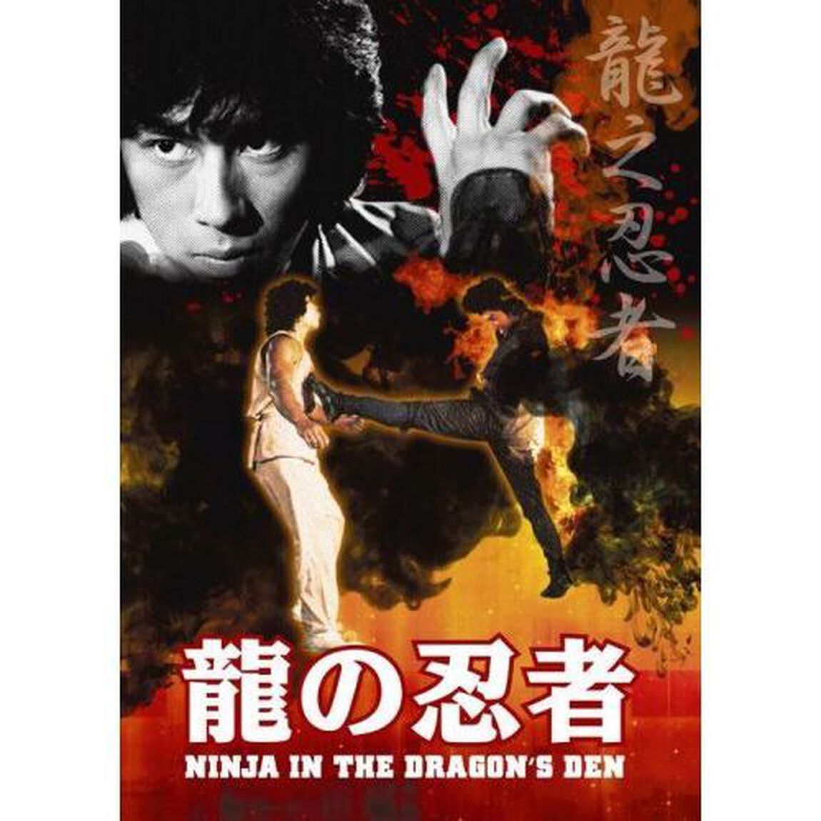 龍の忍者（ＤＶＤ）