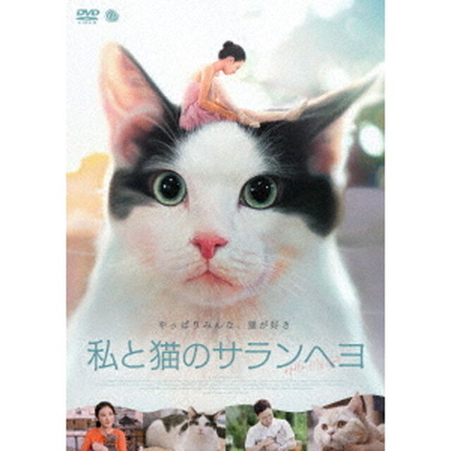 私と猫のサランヘヨ（ＤＶＤ）
