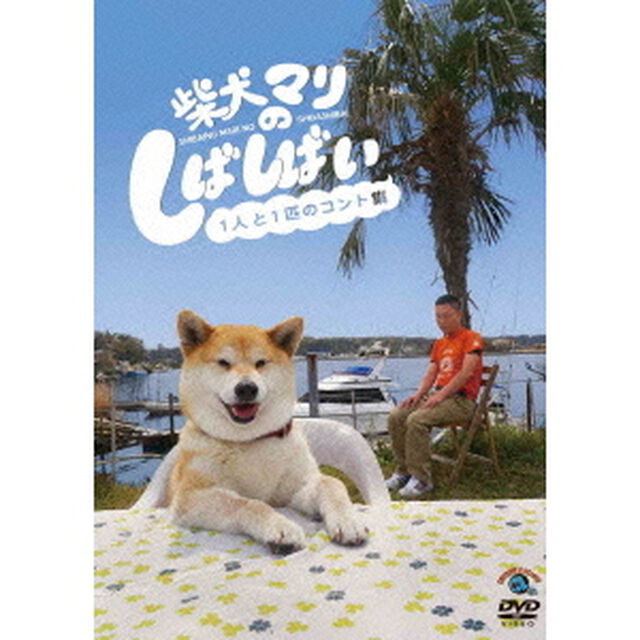 柴犬マリのしばしばい〜1人と1匹のコント集〜（ＤＶＤ）