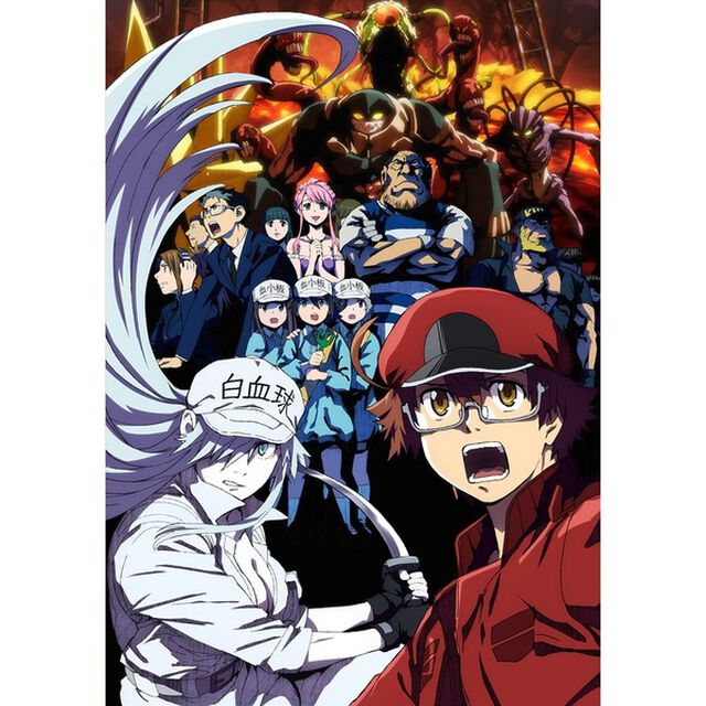 はたらく細胞BLACK 6（ＤＶＤ）