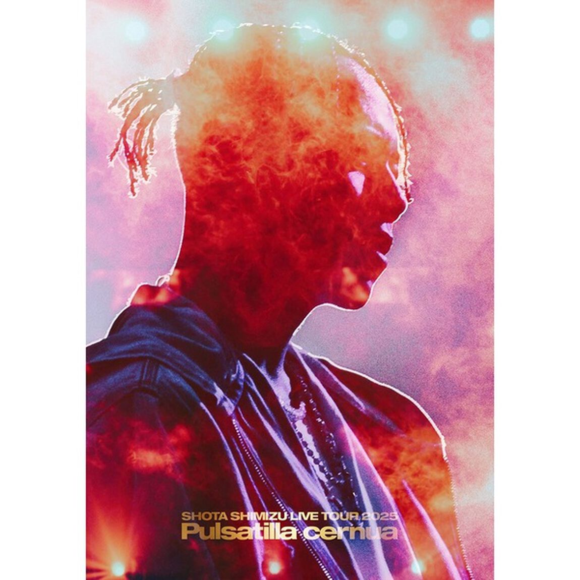 清水翔太／SHOTA SHIMIZU LIVE TOUR 2025 'Pulsatilla cernua' Blu-ray（セブンネット限定特典：アクリルスタンド）（Ｂｌｕ－ｒａｙ　Ｄｉｓｃ）