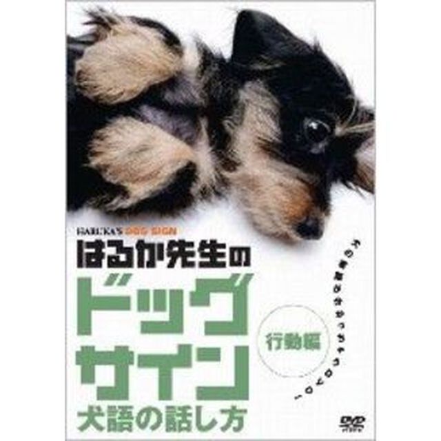 はるか先生のドッグサイン　〜犬語の話し方〜　VOL．2　行動編（ＤＶＤ）