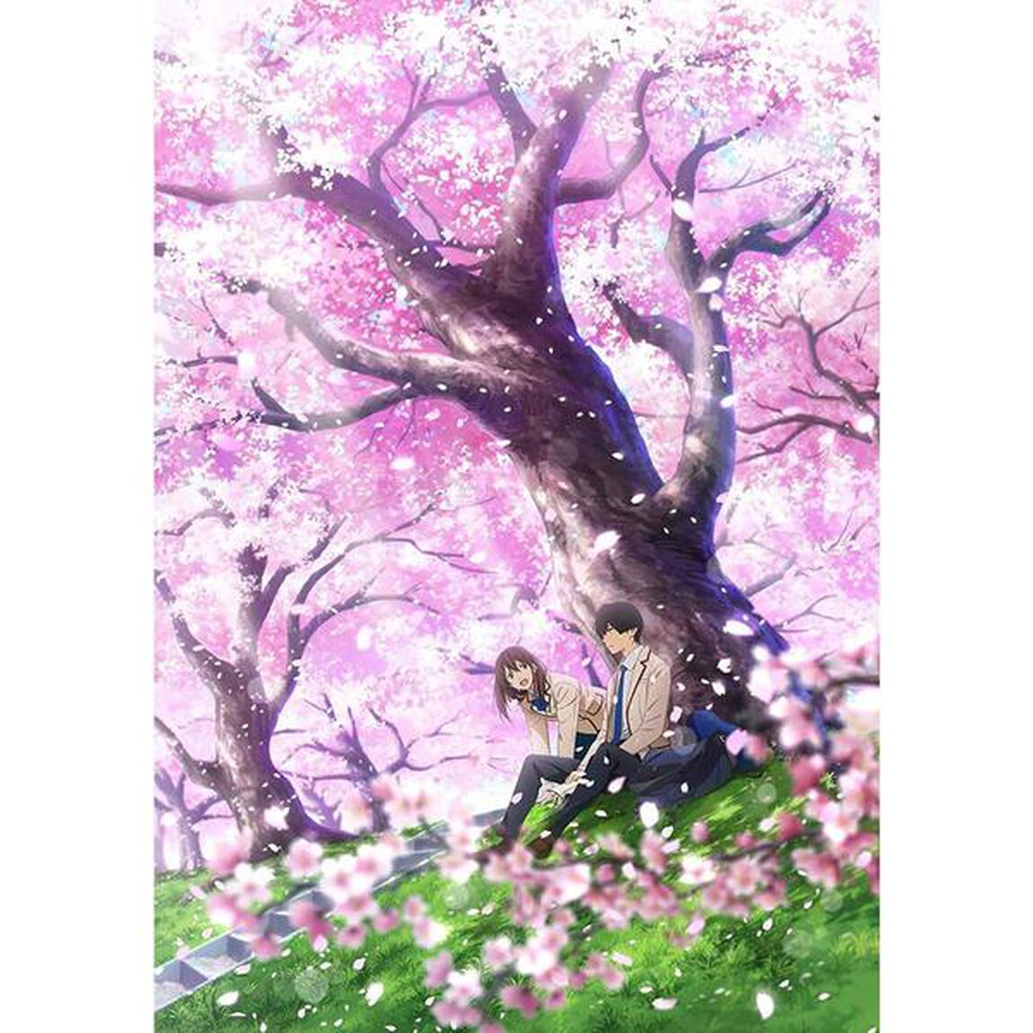 劇場アニメ　君の膵臓をたべたい（ＤＶＤ）