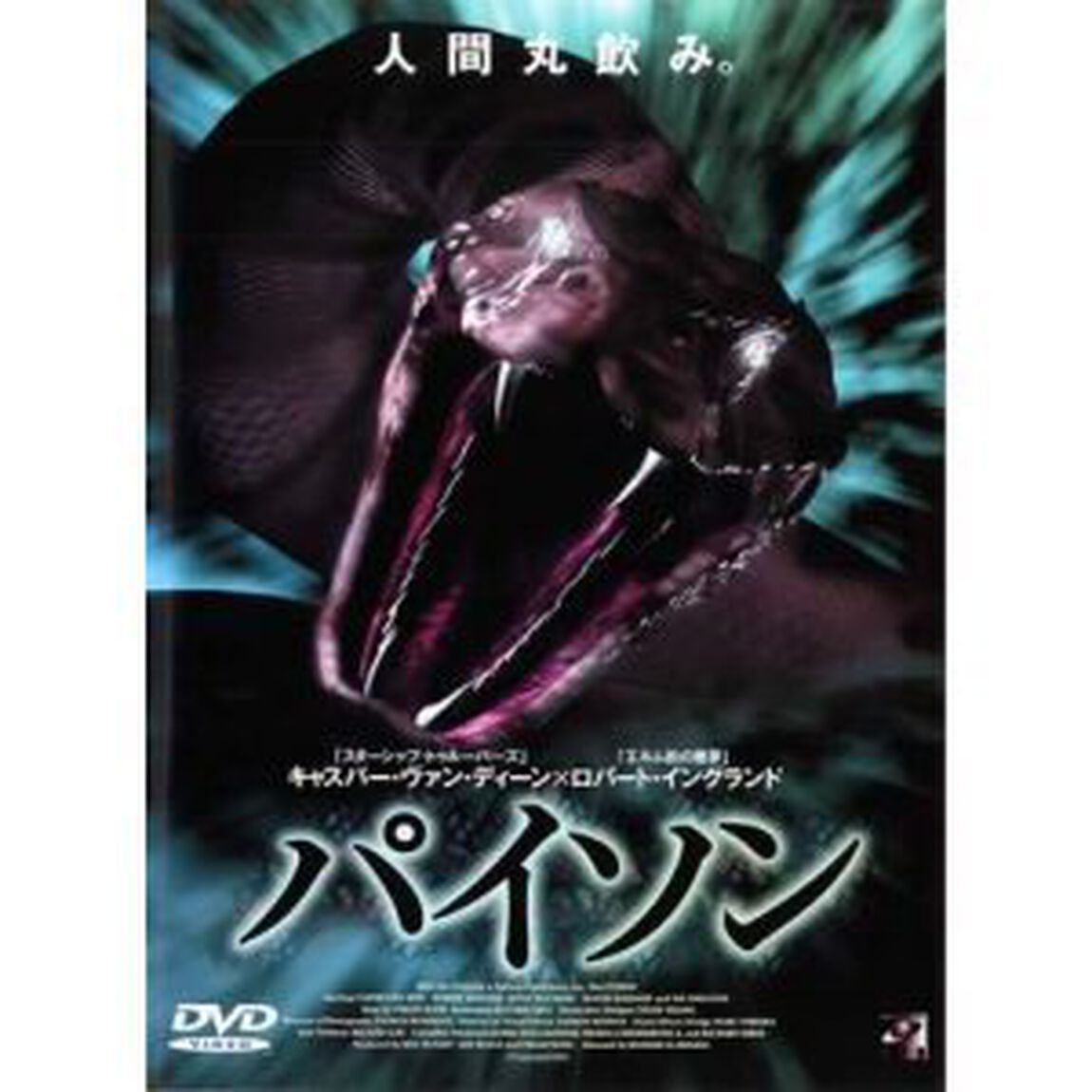パイソン（ＤＶＤ）