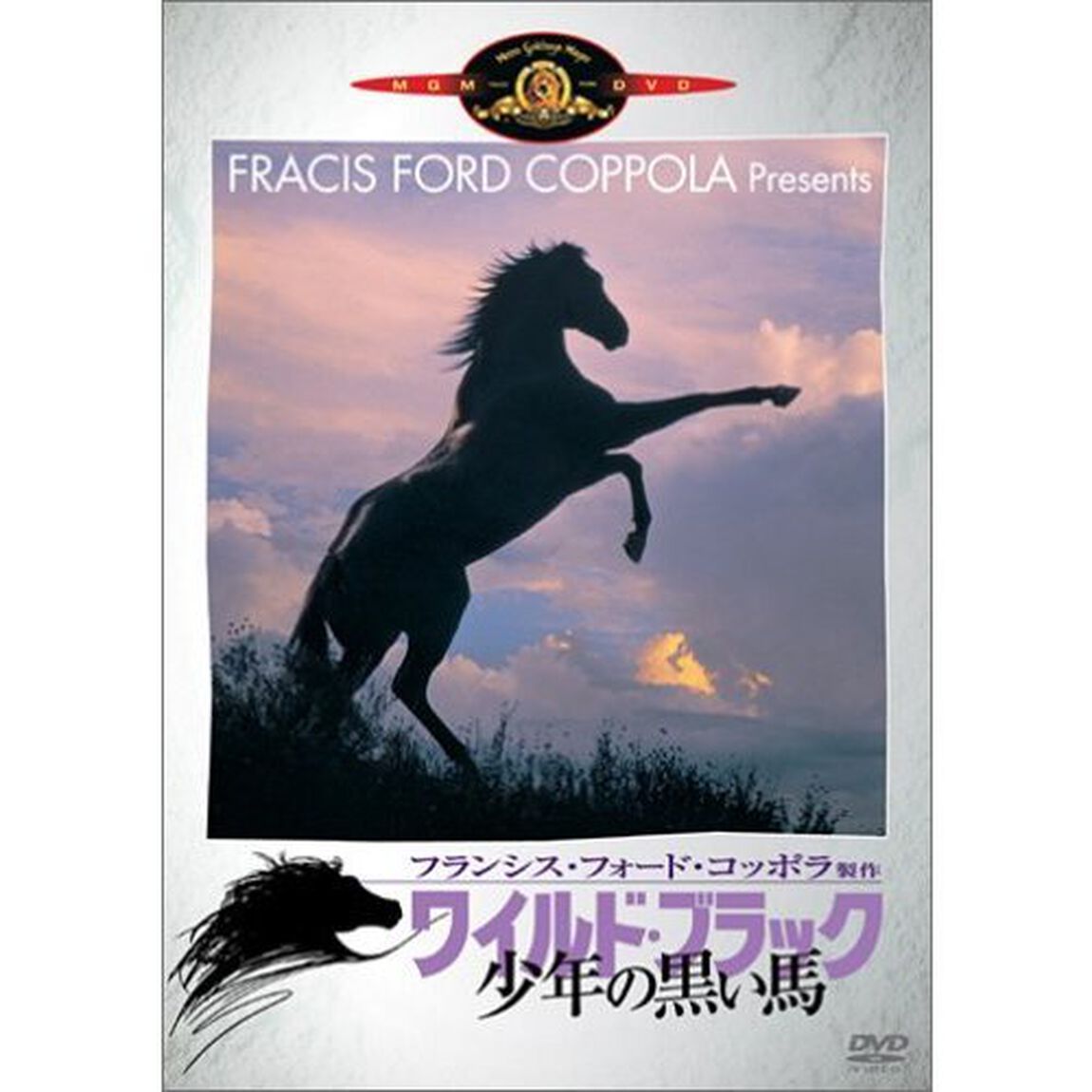 ワイルド・ブラック／少年の黒い馬（ＤＶＤ）