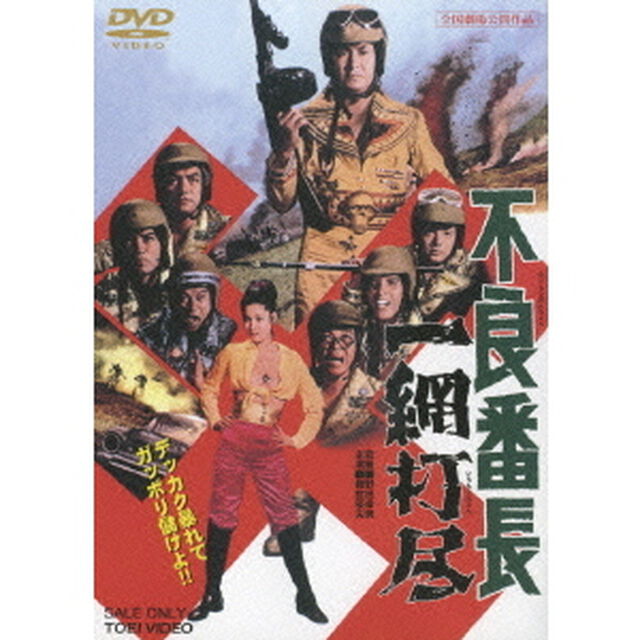 不良番長　一網打尽（ＤＶＤ）