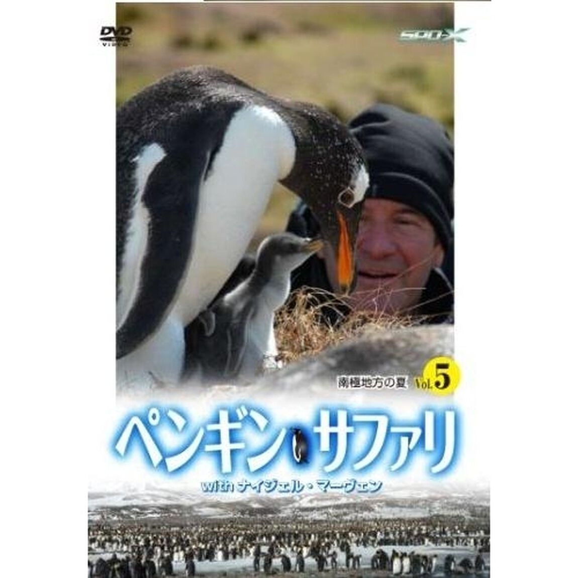 ペンギン・サファリ with ナイジェル・マーヴェン Vol.5（ＤＶＤ）