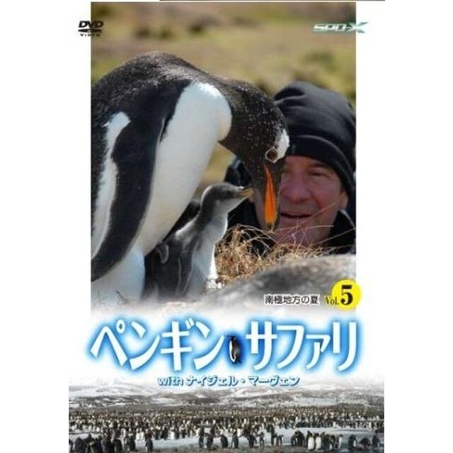 ペンギン・サファリ with ナイジェル・マーヴェン Vol.5（ＤＶＤ）
