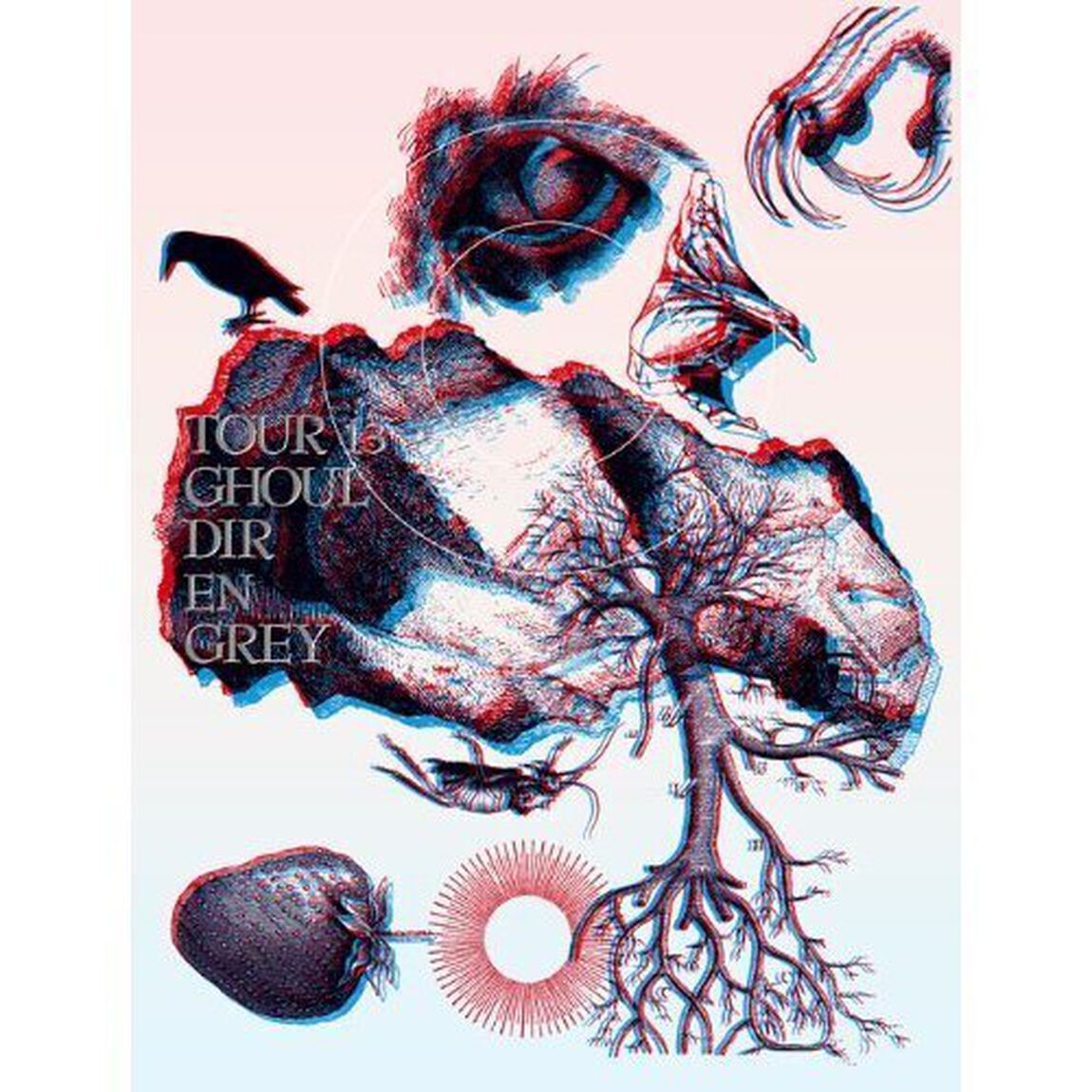 DIR EN GREY／TOUR13 GHOUL ＜初回生産限定盤＞（Ｂｌｕ－ｒａｙ　Ｄｉｓｃ）