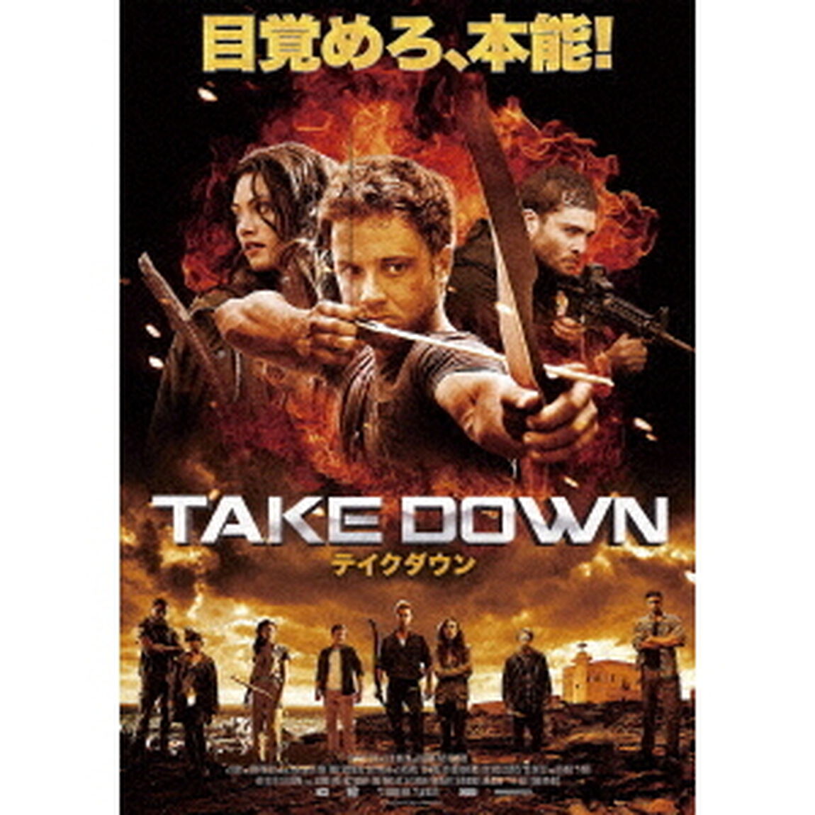 TAKE　DOWN　／　テイクダウン（ＤＶＤ）