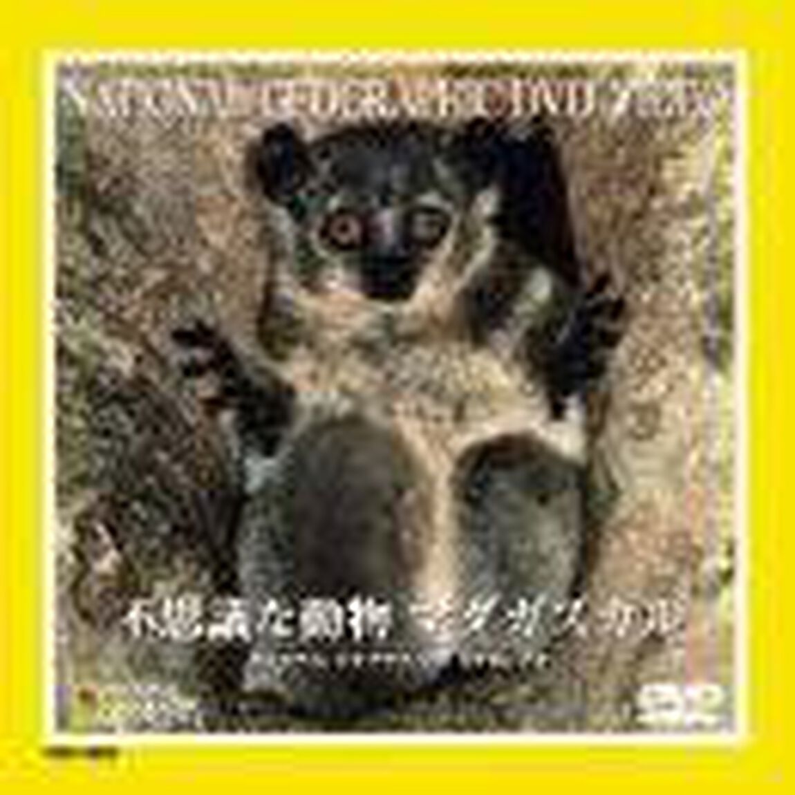 ナショナル・ジオグラフィック　不思議な動物　マダガスカル（ＤＶＤ）