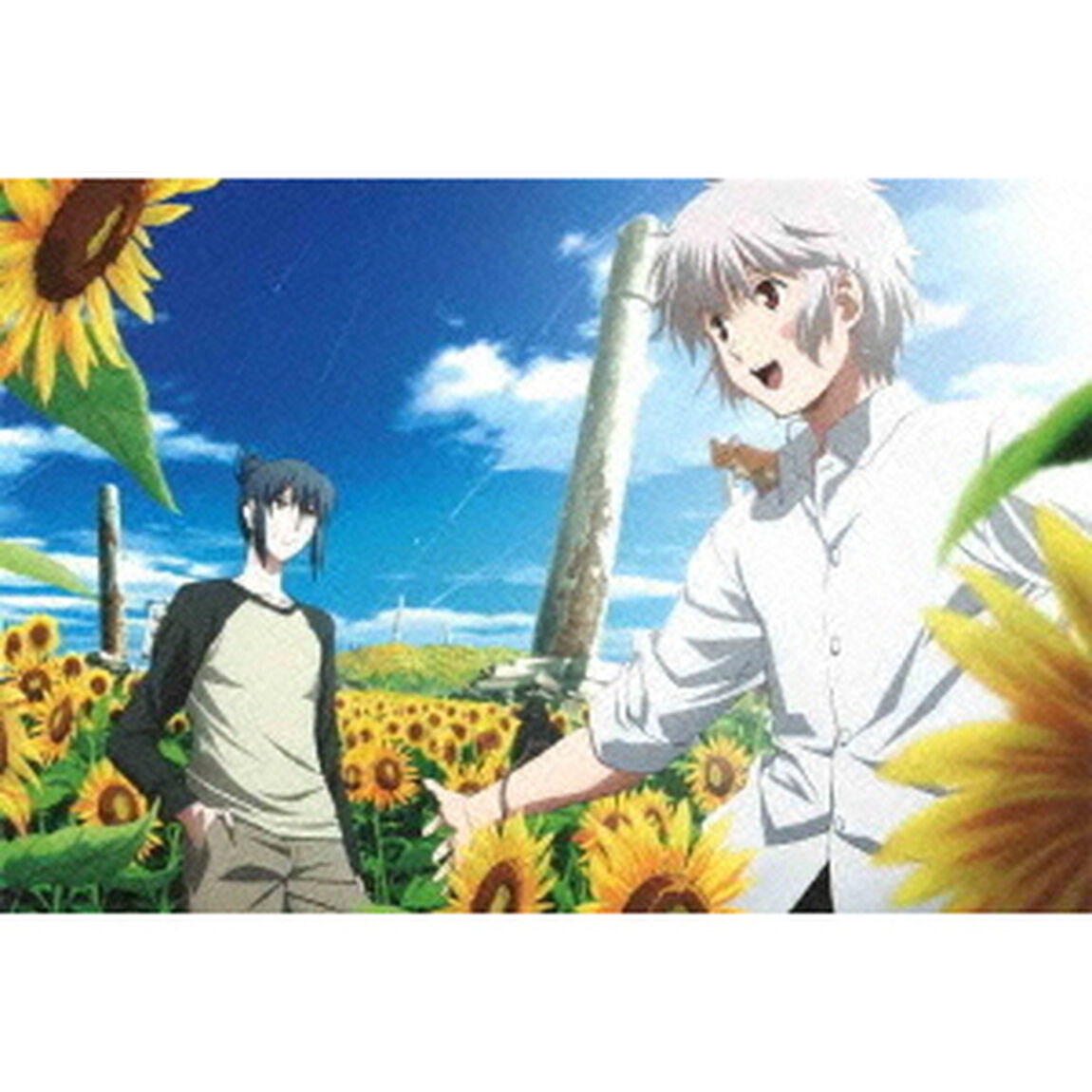 NO．6　VOLUME　Ⅵ（ＤＶＤ）
