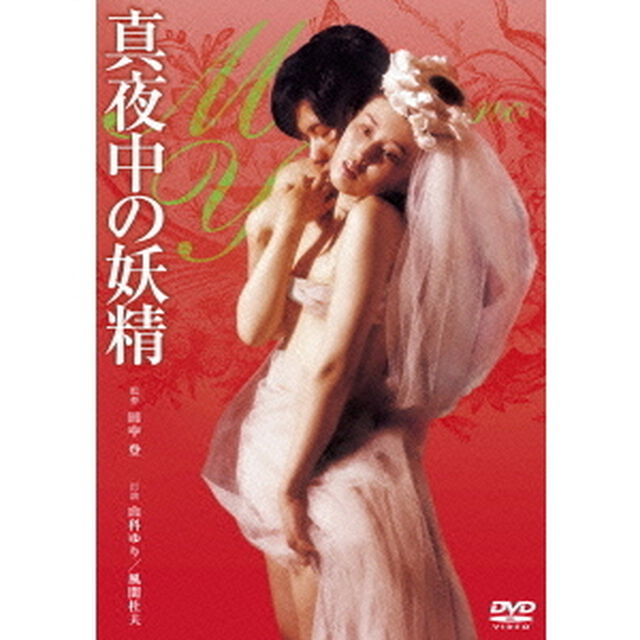 真夜中の妖精（ＤＶＤ）