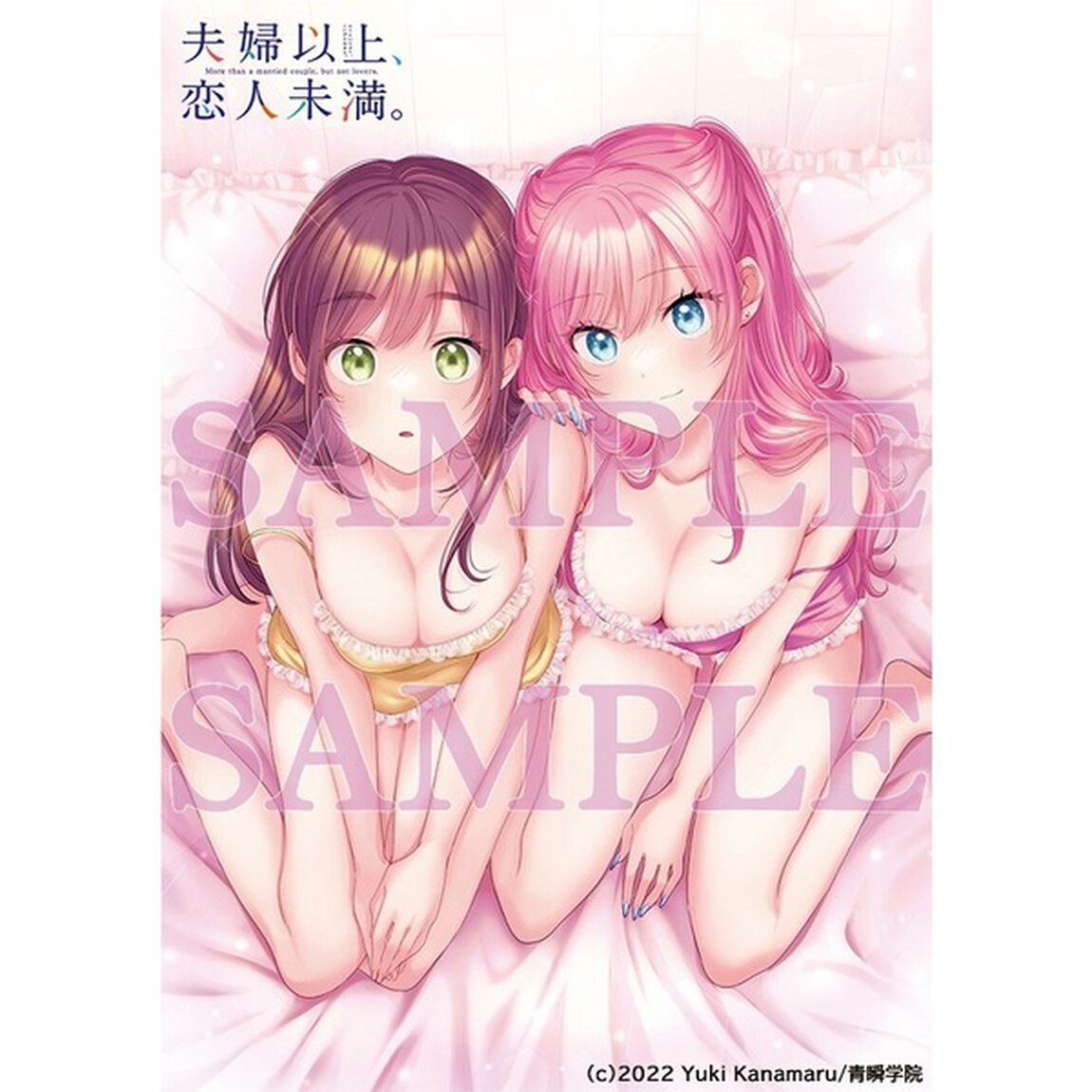 夫婦以上、恋人未満。 Blu-ray BOX 上巻（Ｂｌｕ－ｒａｙ　Ｄｉｓｃ）