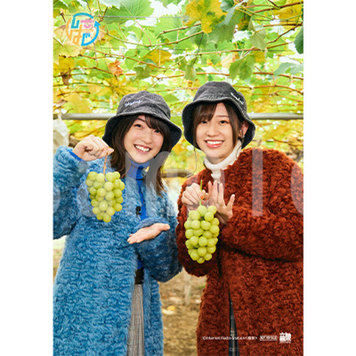 Blu-rayその2「高橋李依・上田麗奈 仕事で会えないからラジオはじめました〜休みができたので旅行しちゃいました〜」（その他）