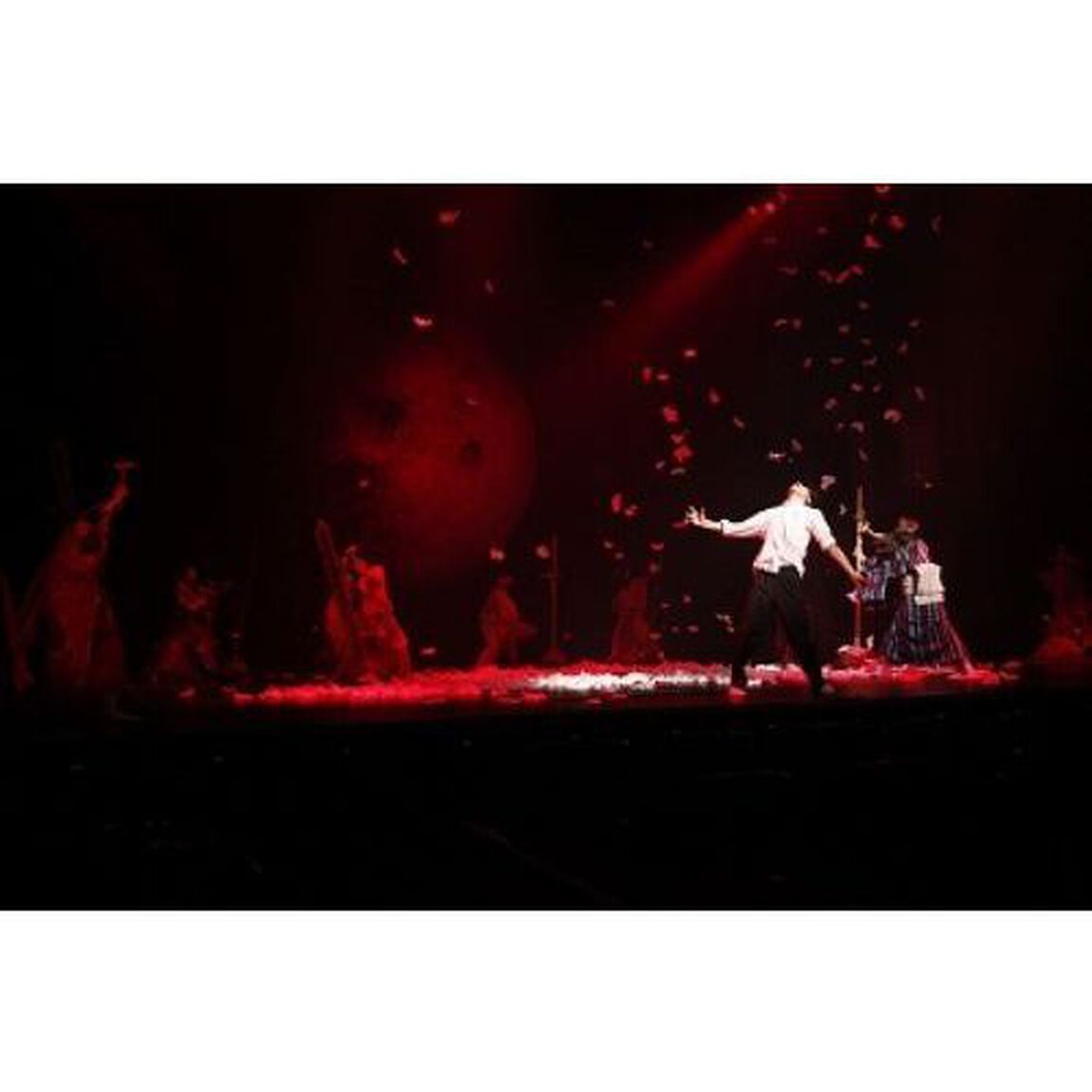 身毒丸　大竹しのぶ・矢野聖人（ＤＶＤ）
