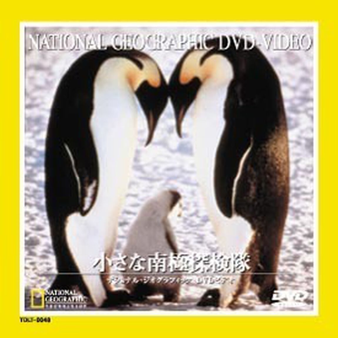 ナショナル・ジオグラフィック　小さな南極探検家（ＤＶＤ）