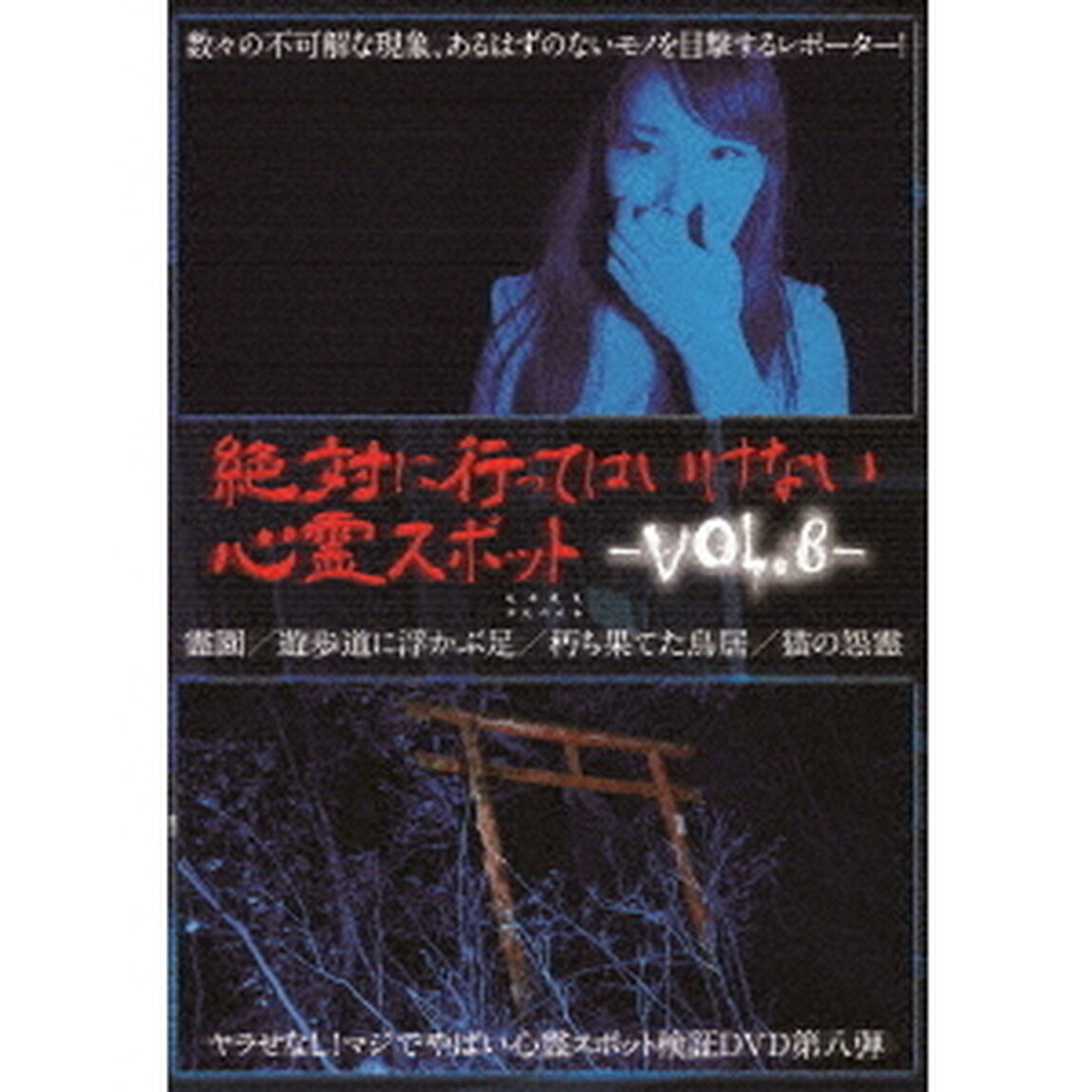 絶対に行ってはいけない心霊スポット　Vol．8（ＤＶＤ）