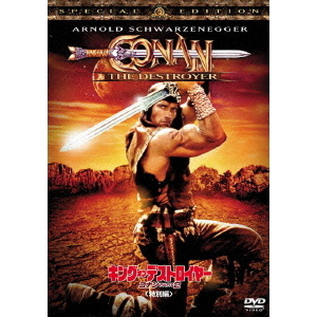 キング・オブ・デストロイヤー　コナン　PART2　＜特別編＞（ＤＶＤ）