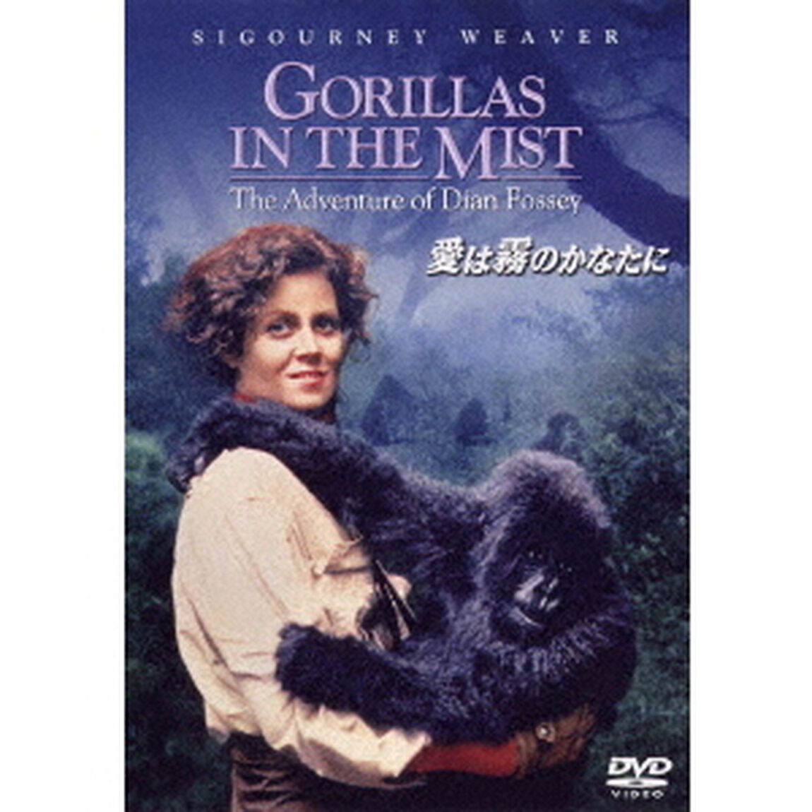 愛は霧のかなたに（ＤＶＤ）