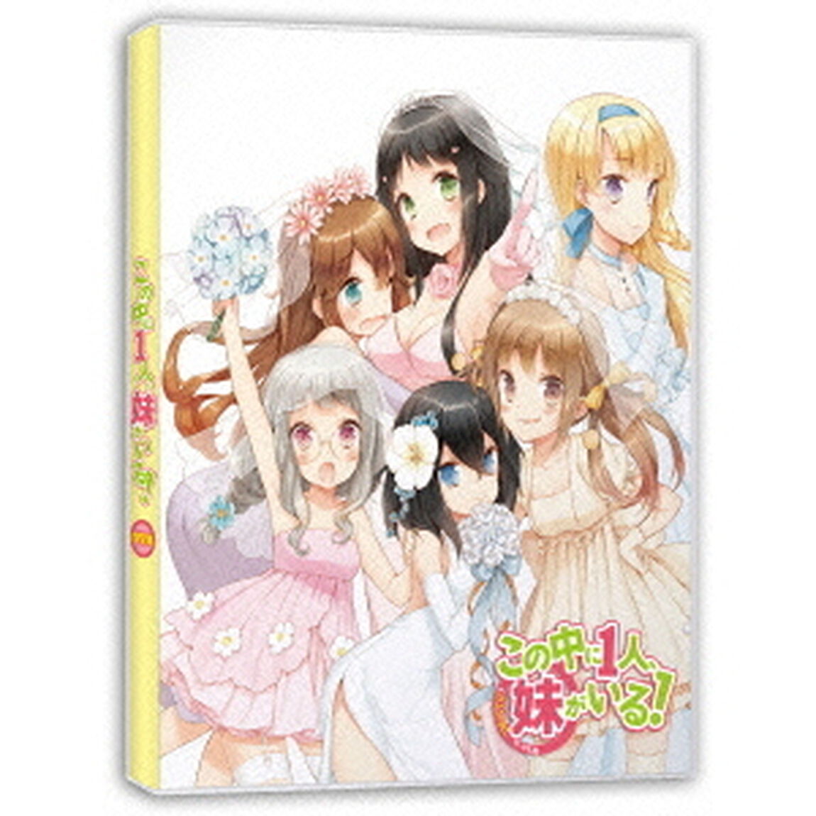OVAの中に1人、妹がいる！（Ｂｌｕ－ｒａｙ　Ｄｉｓｃ）