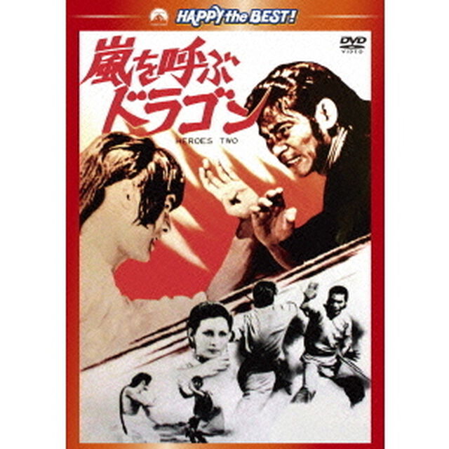 嵐を呼ぶドラゴン（ＤＶＤ）