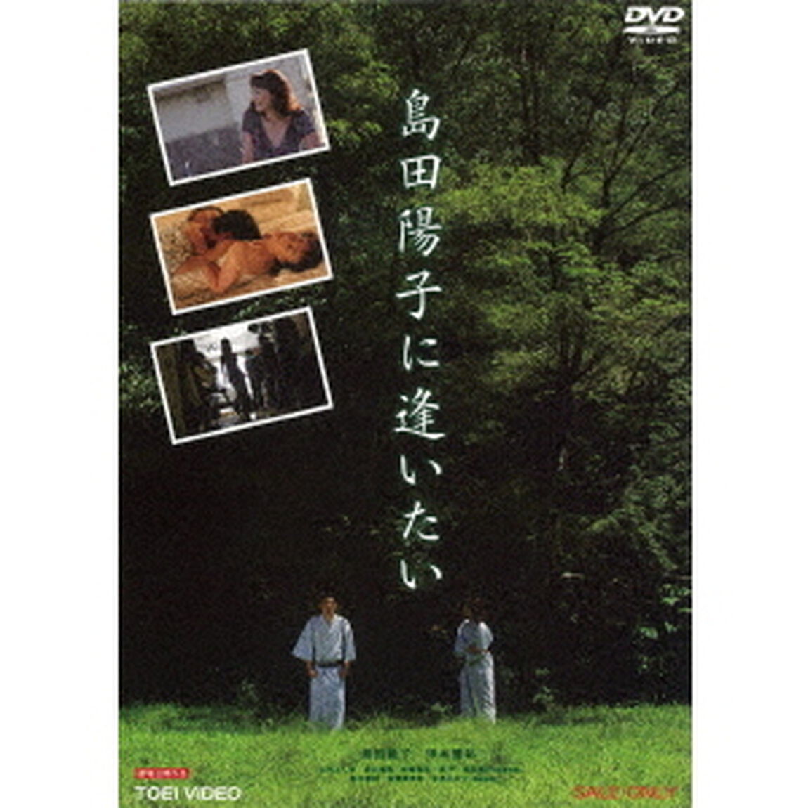 島田陽子に逢いたい（ＤＶＤ）