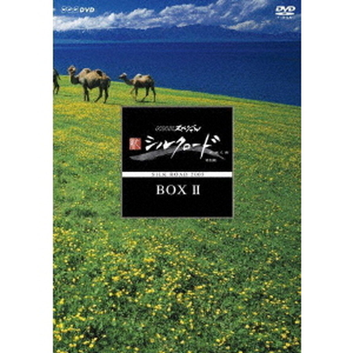 NHKスペシャル　新シルクロード　特別版　DVD－BOXⅡ（ＤＶＤ）