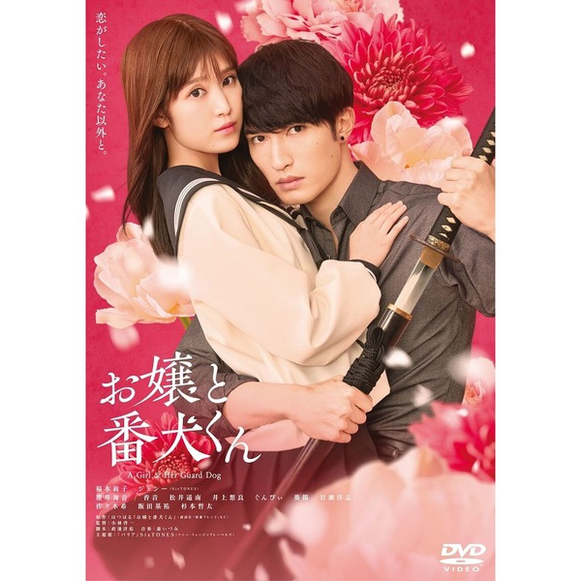 映画『お嬢と番犬くん』（ＤＶＤ）
